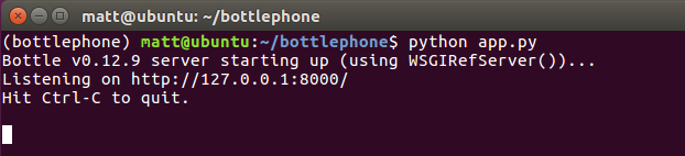 Successfully starting the Bottle development server from the command line.