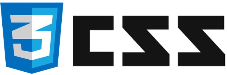 CSS3 logo.