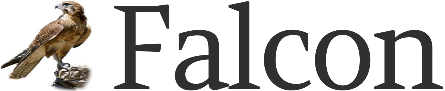 Falcon web framework logo.