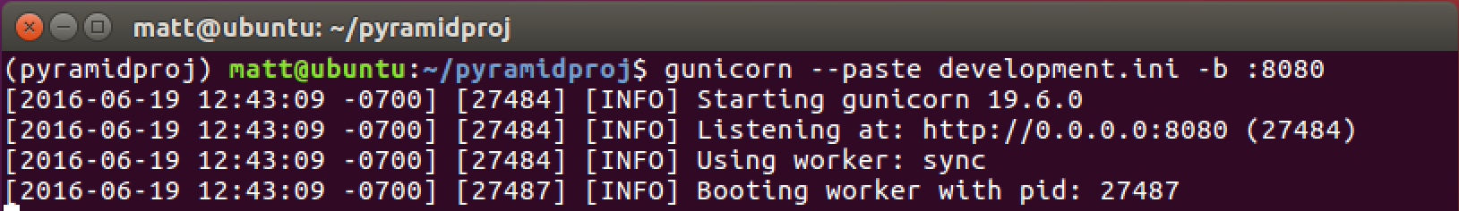 gunicorn-run.png