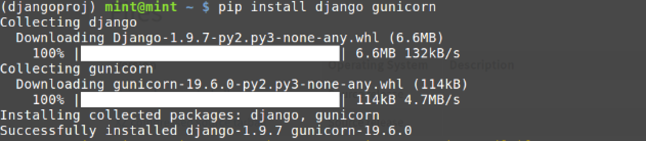 Django 和 Gunicorn 通过 pip 命令正确安装。