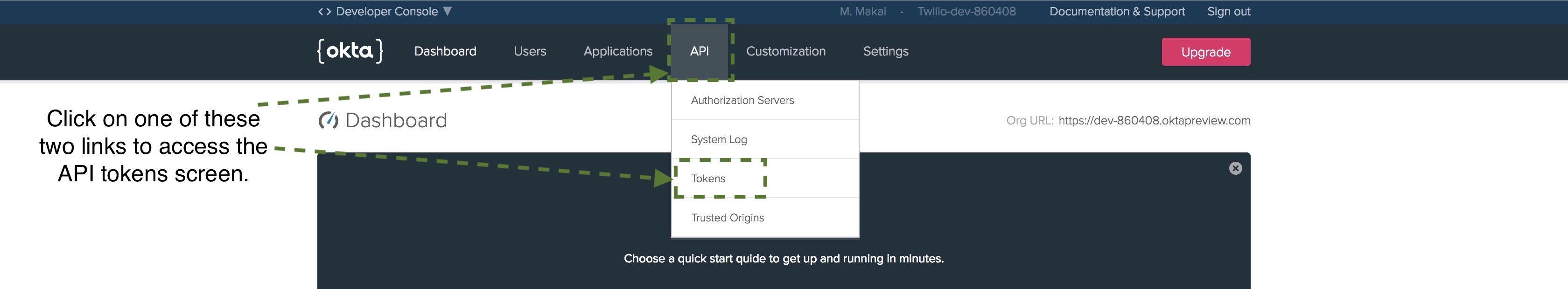 Click the API tab in the dashboard.