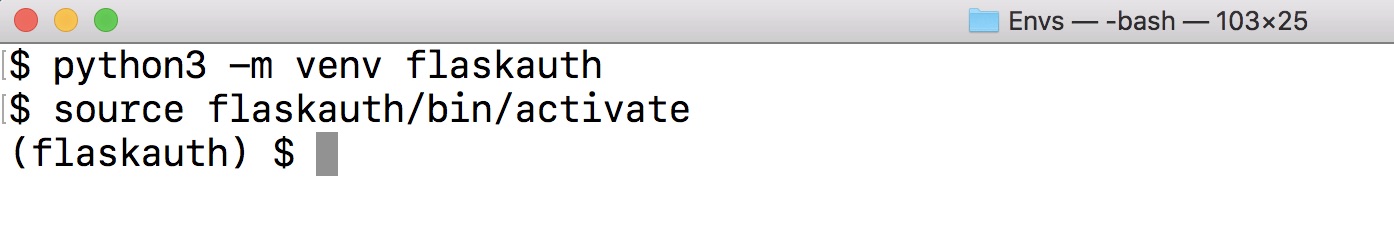 Activating the flaskauth virtualenv.