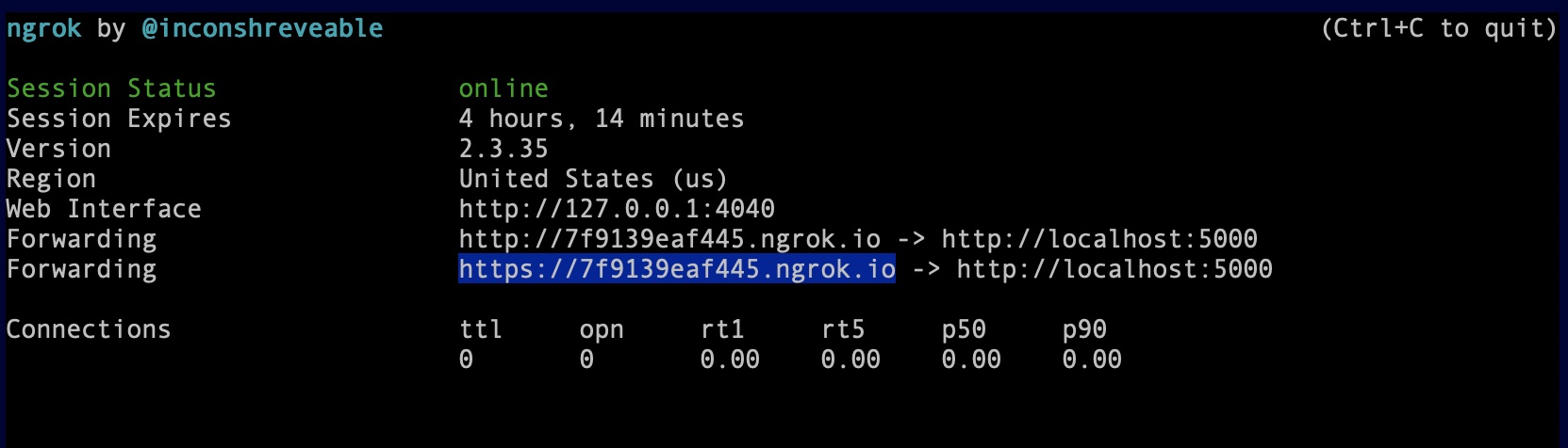 Ngrok running with a localhost tunnel.