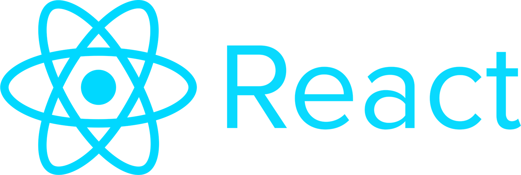 React framework logo.