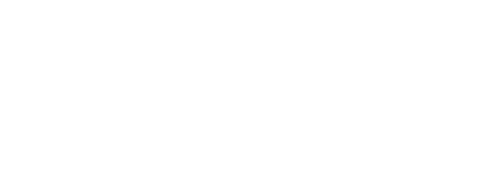 Sentry logo.